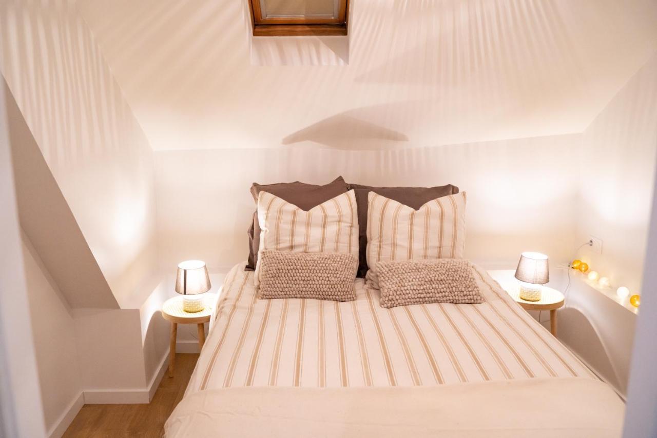 Apartament L'Etoile Grenobloise Grenoble Zewnętrze zdjęcie